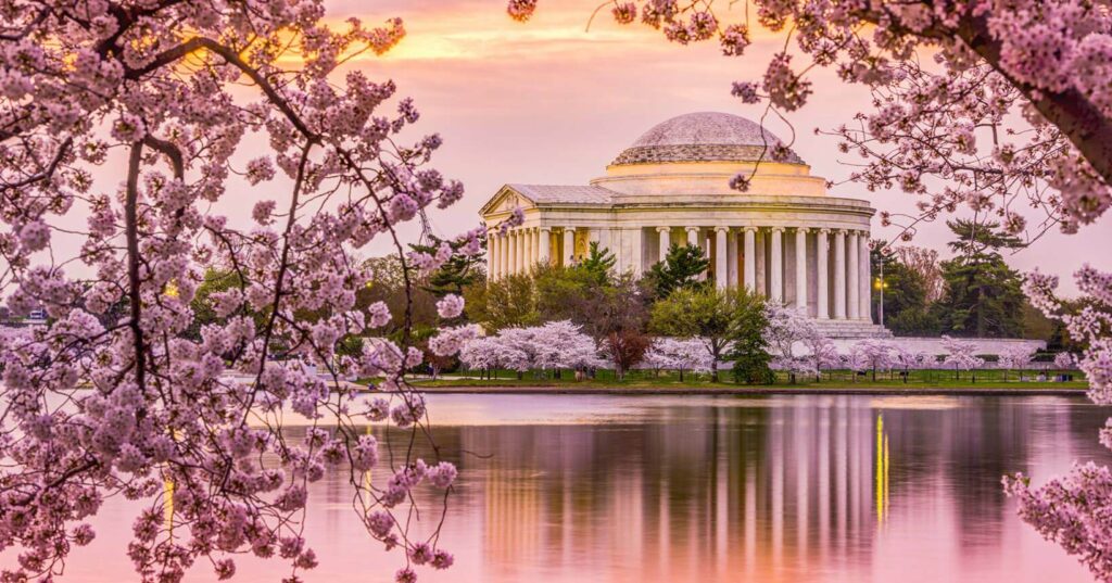 Mercado de serviços personalizados